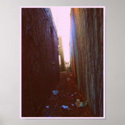 Alley Poster (Voorkant)
