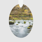 Alley Springs Rapids (devant)