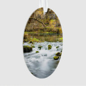 Alley Springs Rapids (devant)