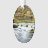 Alley Springs Rapids (devant)