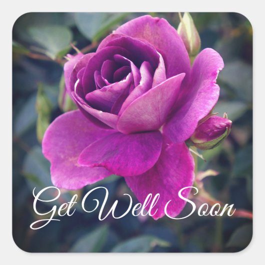 Allez-y Bientôt Burgundy Iceberg #2-2 Stickers (Devant)