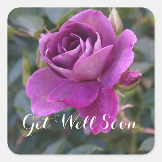 Allez-y Bientôt Burgundy Iceberg #2 Stickers (Devant)