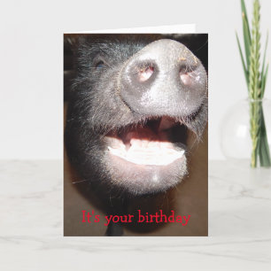 Allez-y et criez, carte d'anniversaire de porc