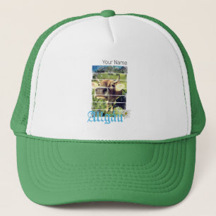Allgäu Alps  Koe Beieren Duitsland Souvenir Trucker Pet