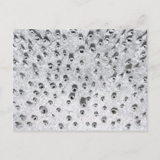 allí, a dryer world briefkaart