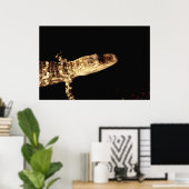 Alligator #1 poster (Thuiskantoor)