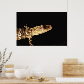 Alligator #1 poster (Keuken)