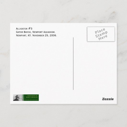Alligator #3 briefkaart (Achterkant)