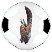 Alligator américain - Faune de Floride (Tourné)