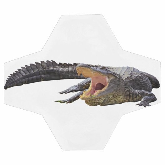 Alligator américain - Faune de Floride (Plat)