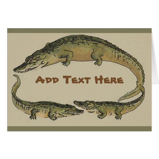 Alligator arrondi (Devant horizontal)