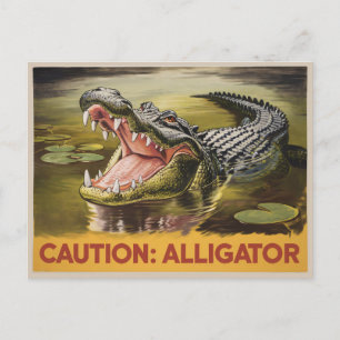Alligator Attentie Illustratie Geïnspireerd Briefkaart