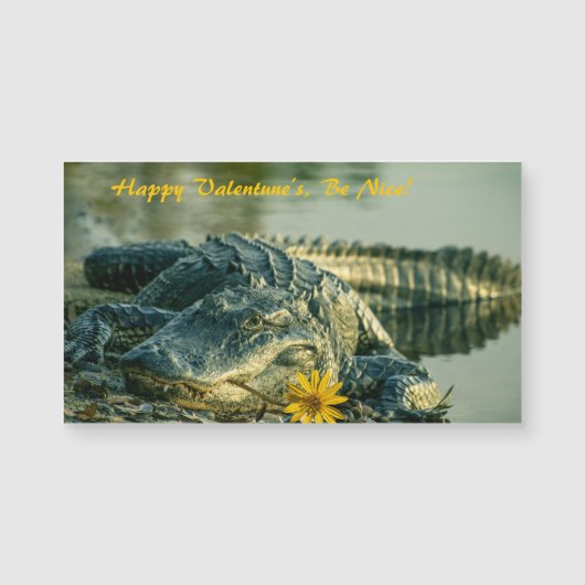 Alligator avec fleur Valentines Carte magnétique (Devant)