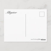 Alligator Briefkaart (Achterkant)