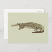 Alligator-Briefkaart Briefkaart (Voorkant / Achterkant)