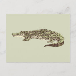 Alligator-Briefkaart Briefkaart