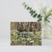 Alligator-Briefkaart Briefkaart (Staand voorkant)