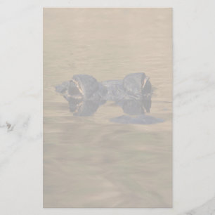 alligator briefpapier