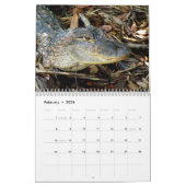 Alligator Calendar Kalender (Feb 2026)