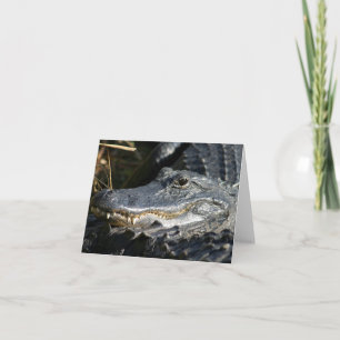 Alligator, Carte pour notes vierge Everglades