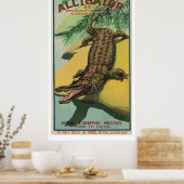 Alligator ( Chinese Firecracker) Poster (Keuken)