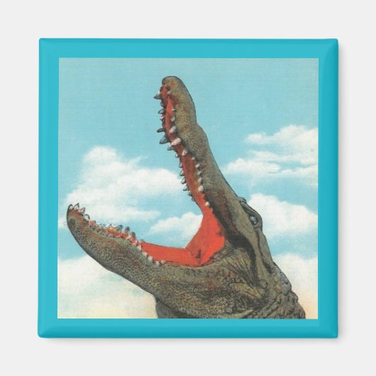 Alligator Chomp Magneet (Voorkant)