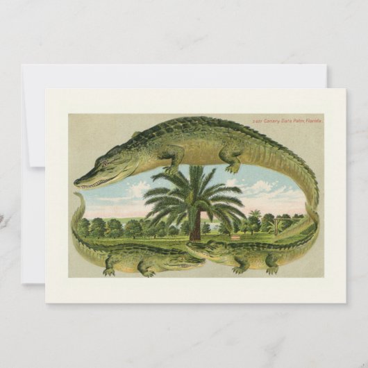 Alligator classique Faire-part mobile (Devant)
