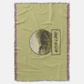 Alligator Dark Khaki Jeter la couverture (devant Vertical)