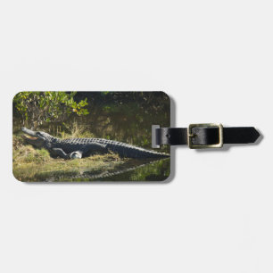 Alligator die zich in de zon koestert op de oever bagagelabel