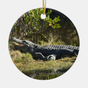 Alligator die zich in de zon koestert op de oever keramisch ornament