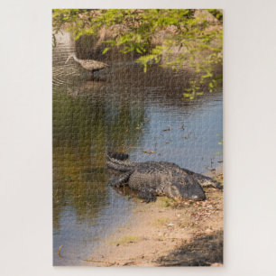 Alligator en Carrao vogel in de watergebieden van Legpuzzel