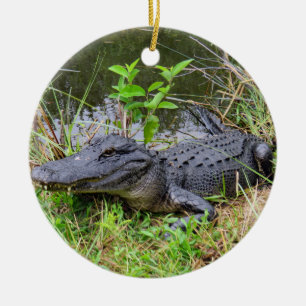 Alligator- en roseatlepel keramisch ornament