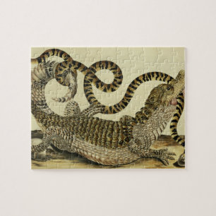 Alligator en slang, 1730 (gekleurd) legpuzzel