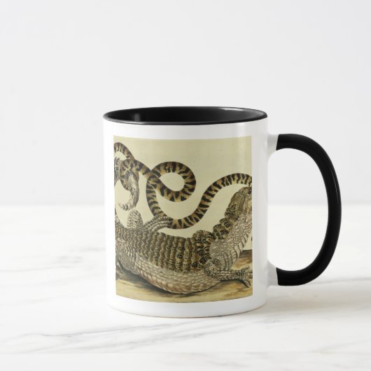 Alligator en slang, 1730 (gekleurd) mok (Rechts)