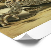 Alligator en slang, 1730 (gekleurd) poster (Hoek)