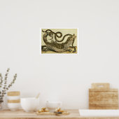 Alligator en slang, 1730 (gekleurd) poster (Keuken)