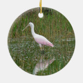 Alligator et ornement de spatule rose (Dos)