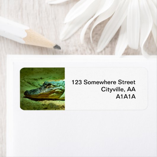 Alligator Etiket (Insitu)