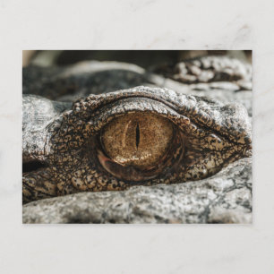 ALLIGATOR EYE CLOSE-UP BRIEFKAART