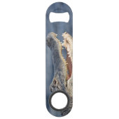 Alligator Floride Everglades Faune Fun Photo (Devant)