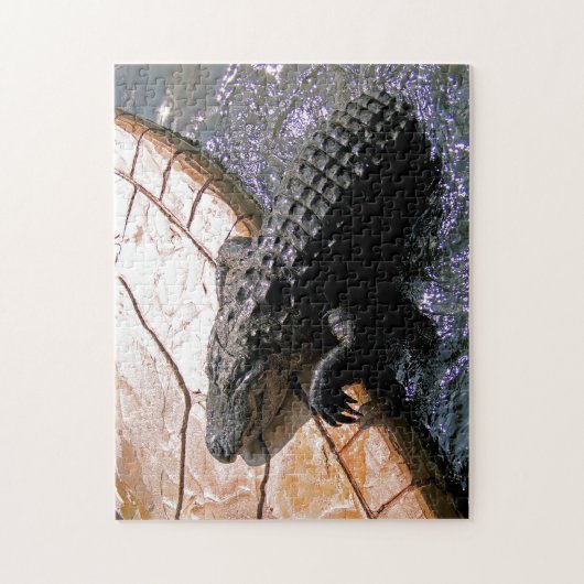 Alligator floridien, Puzzle (Vertical)