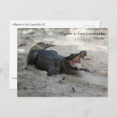 Alligator, Fort Lauderdale, Florida Briefkaart (Voorkant / Achterkant)