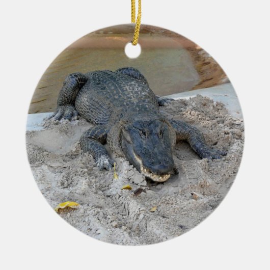 Alligator, Fort Lauderdale, Florida Keramisch Ornament (Voorkant)