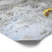 Alligator, Fort Lauderdale, Florida Poster (Hoek)