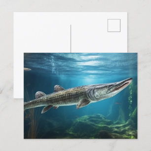 Alligator gar vis zwemmen Vis Briefkaart