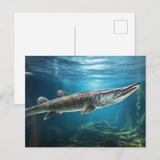 Alligator gar vis zwemmen Vis Briefkaart (Voorkant / Achterkant)