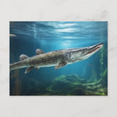 Alligator gar vis zwemmen Vis Briefkaart (Voorkant)