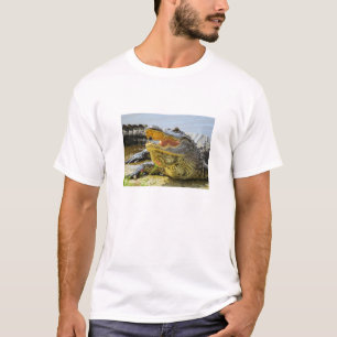 Alligator. Gezichtelijk T-shirt