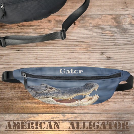 Alligator Grinning Gator Photographie Faune
