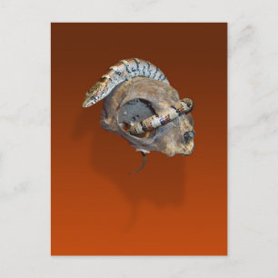 Alligator hagedis op een Briefkaart van de Cat Sku